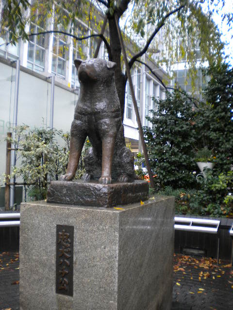 d0142182_1653944.jpg