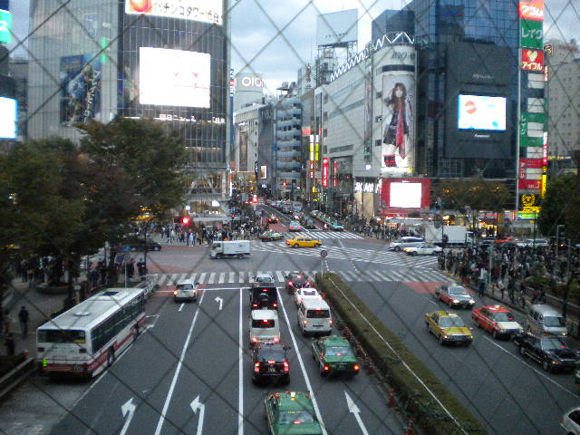 d0142182_1664127.jpg