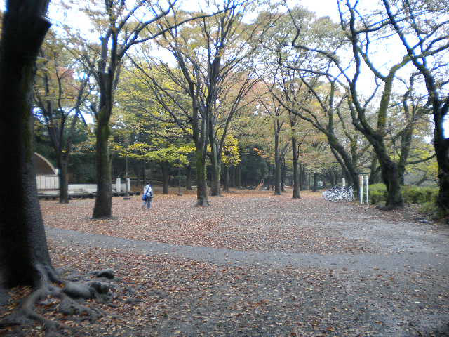 d0142182_1693568.jpg