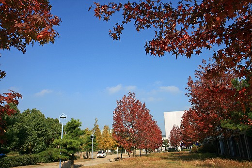 e0190885_17495120.jpg