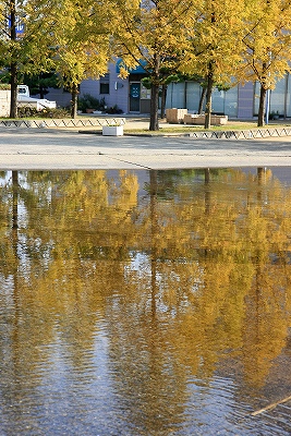 e0190885_1751427.jpg
