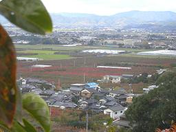 b0128589_1159222.jpg