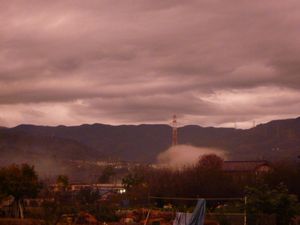 a0123990_741627.jpg