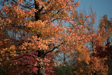 d0133693_22395018.jpg