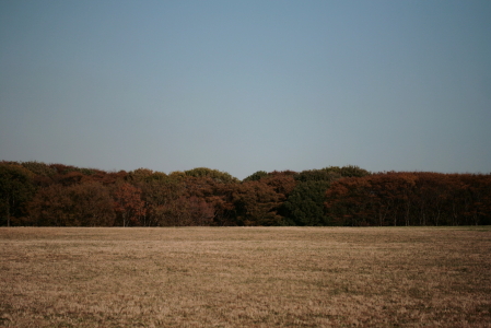 d0133693_22395565.jpg
