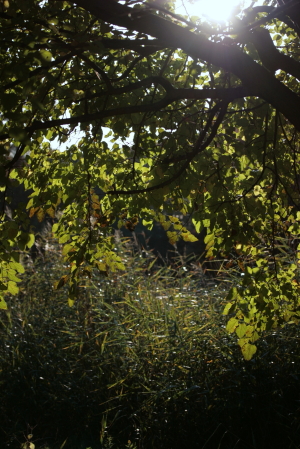 d0133693_22412725.jpg