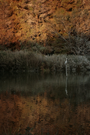 d0133693_22414749.jpg