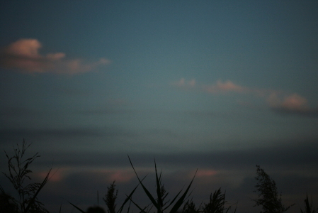 d0133693_2242170.jpg