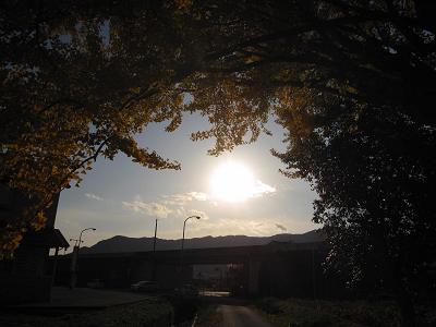 c0118495_22454455.jpg
