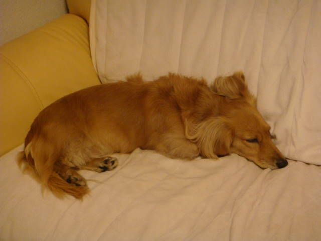 d0098295_2395744.jpg
