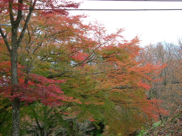 b0044296_220381.jpg