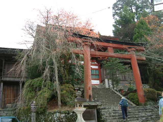 b0044296_221559100.jpg