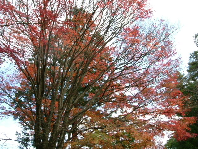 b0044296_22211062.jpg