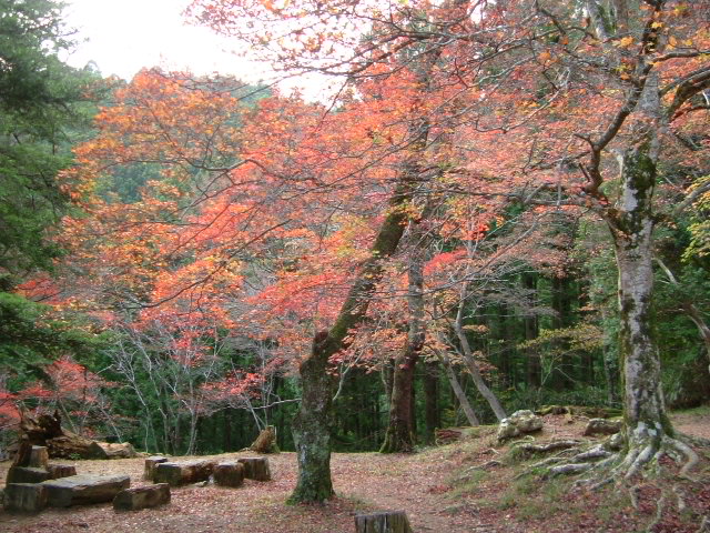 b0044296_22243576.jpg