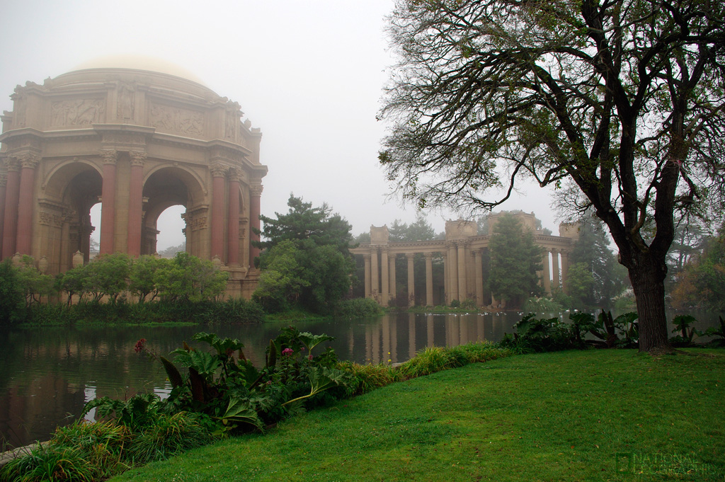 c0080101_063592.jpg