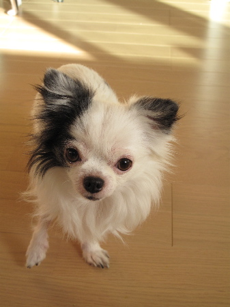 a0079803_23522240.jpg