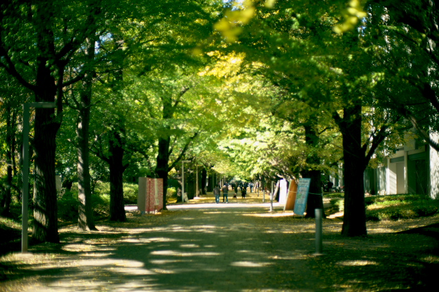 d0143011_21215760.jpg