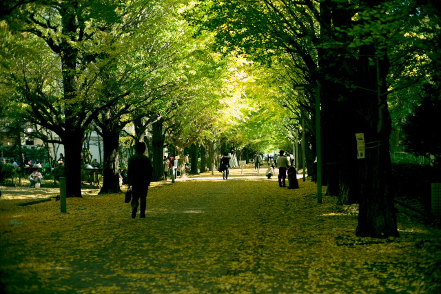 d0143011_2121617.jpg