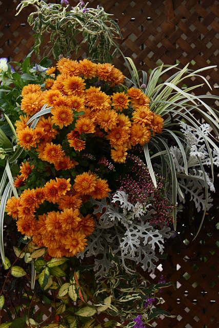 f0207313_22102540.jpg