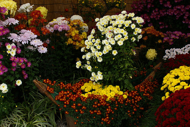 f0207313_228832.jpg