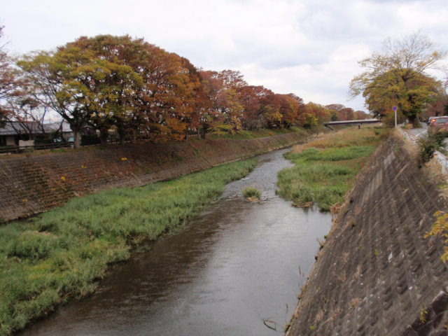 b0062214_22104890.jpg