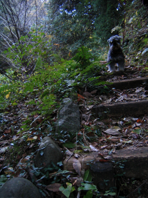 c0219815_2284074.jpg