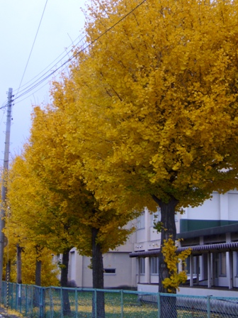 a0061023_17273857.jpg