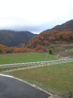 e0164226_9115556.jpg