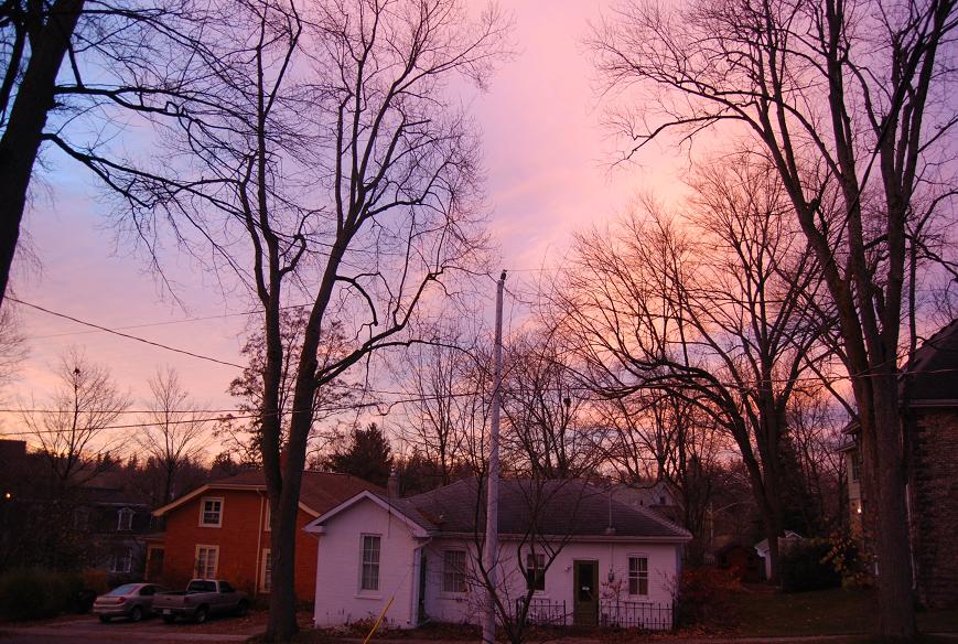 f0111926_2333661.jpg