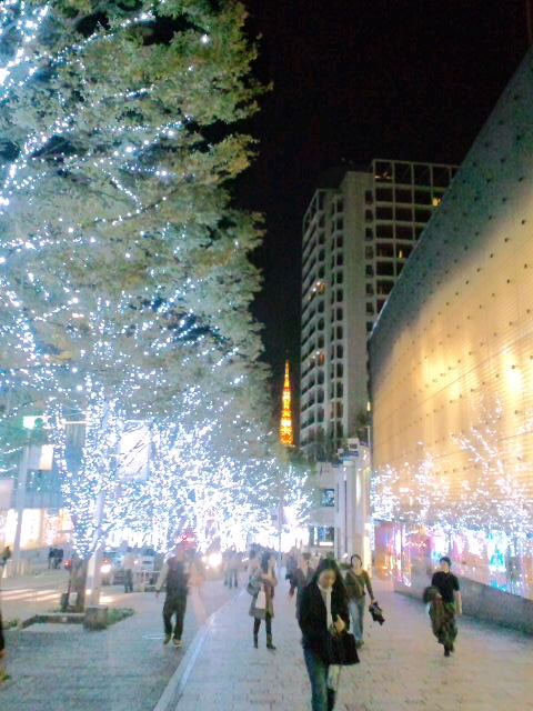 f0098728_824919.jpg