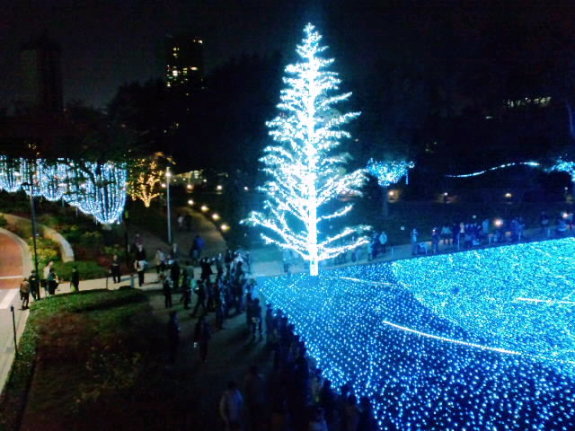 f0098728_824923.jpg