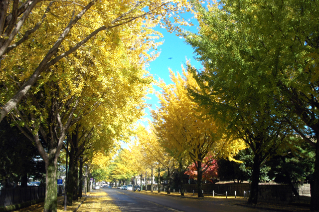 c0192930_1342582.jpg