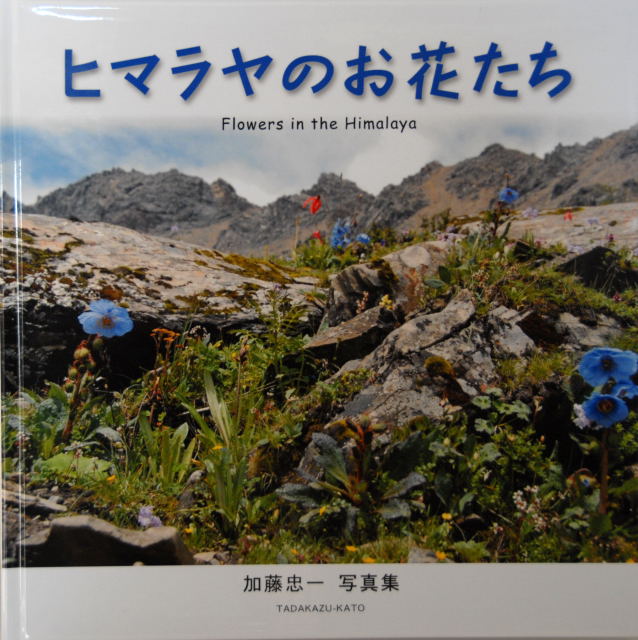 d0091834_14524680.jpg