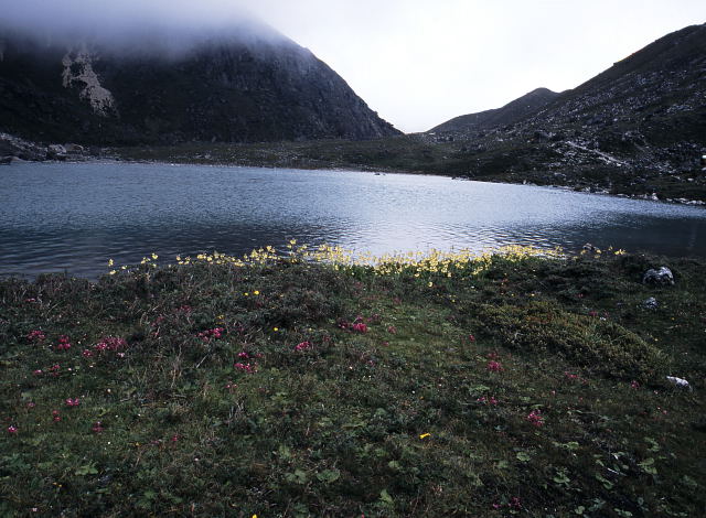 d0091834_14581086.jpg