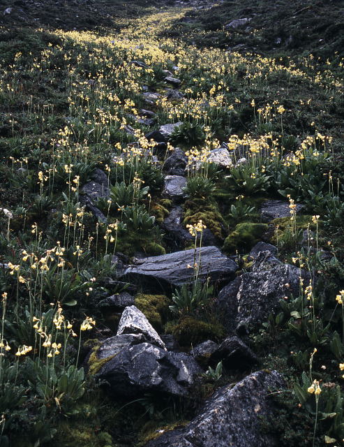 d0091834_1459639.jpg