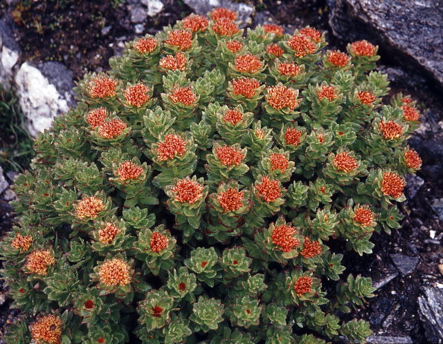 d0091834_15025.jpg