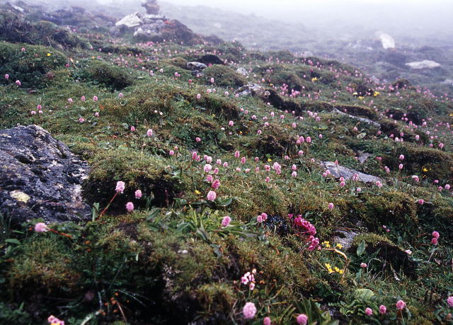 d0091834_1504588.jpg