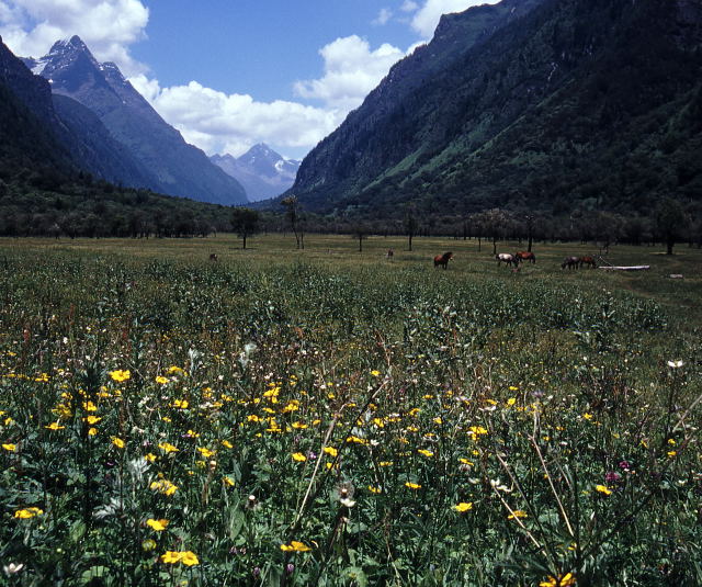 d0091834_1514090.jpg