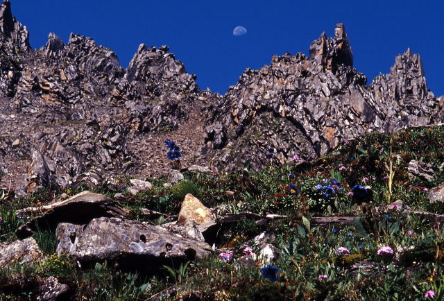 d0091834_1523049.jpg