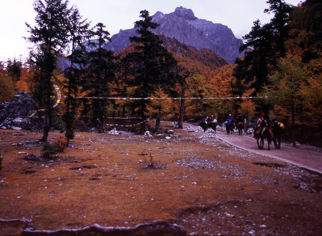 d0091834_15512230.jpg