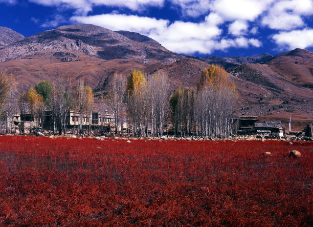 d0091834_15523168.jpg