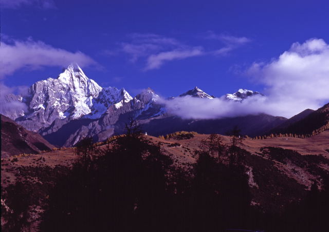 d0091834_15533720.jpg