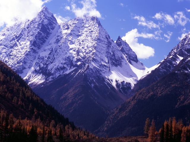 d0091834_1553577.jpg