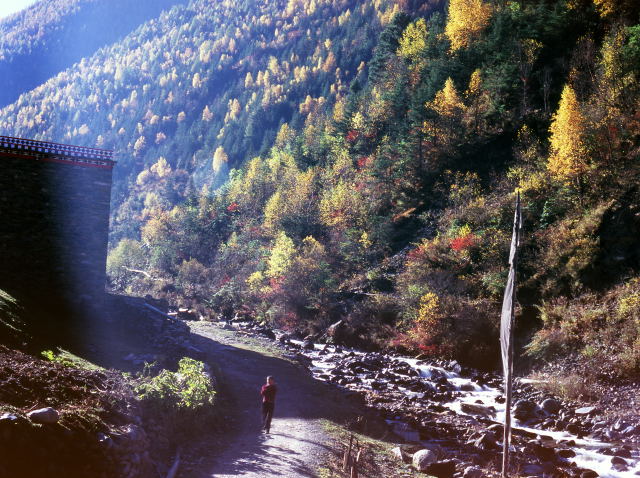d0091834_1554655.jpg