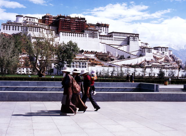 d0091834_15551650.jpg