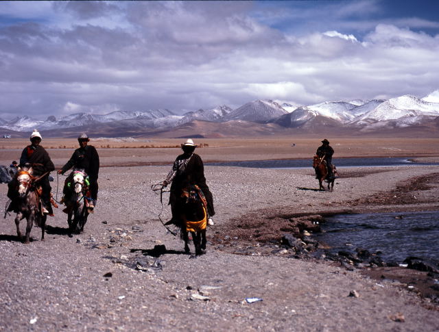 d0091834_15554743.jpg