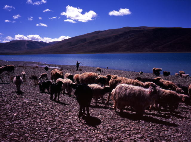 d0091834_1556077.jpg
