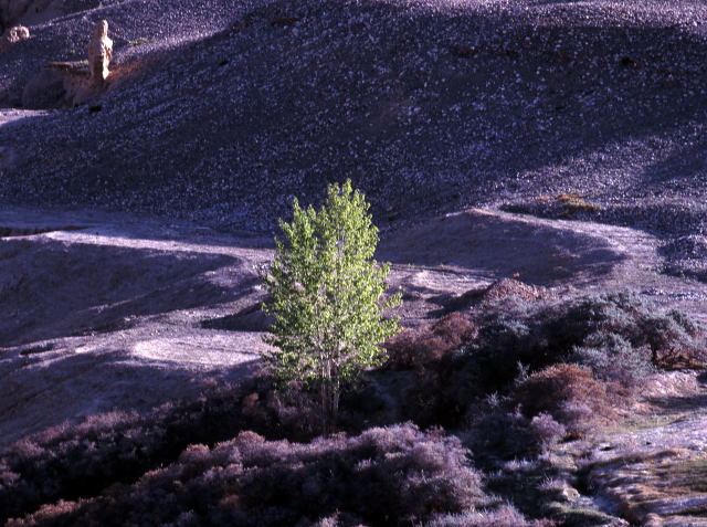 d0091834_15574544.jpg