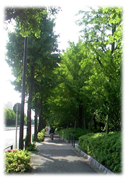f0034334_11523328.jpg