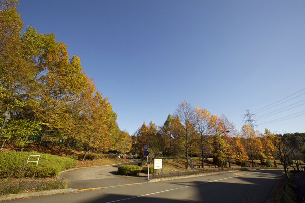 e0044635_0125653.jpg